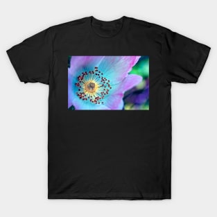 Colourful Wild Rose T-Shirt